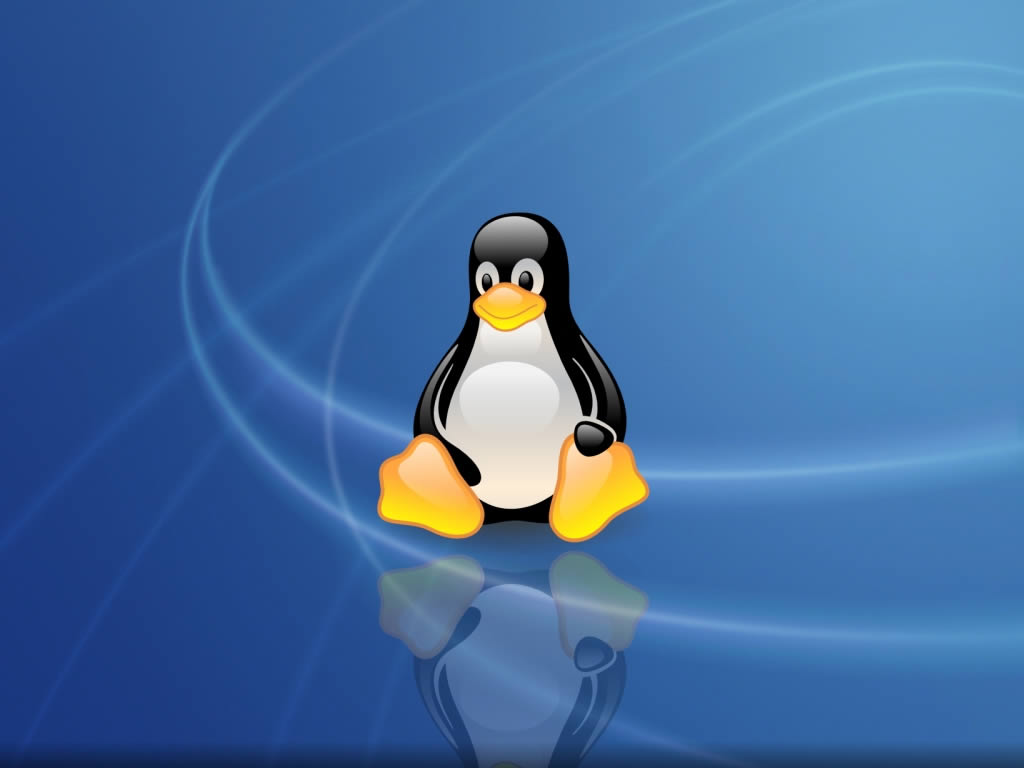 Linux başlangıçta program çalıştırma