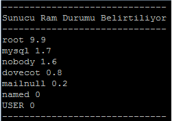 Ram Kullanımı Takibi Detaylı !