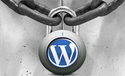 WordPress Admin Paneli Güvenliği