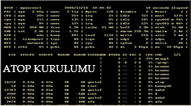 Centos Detaylı Sistem Durumu İzleme (ATop Yazılımı)