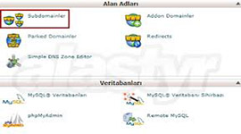 Cpanel Subdomain Oluşturma