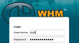 cPanel WHM DNS Ayarı