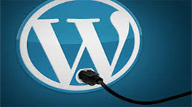 Olmazsa Olmaz 5 WordPress Eklentisi