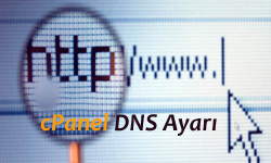 SSH ile DNS Ayarlarını yapma (cPanel)