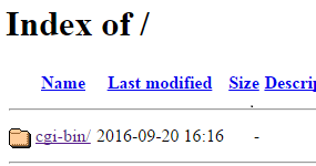 İndex of Hatası Nedir ?