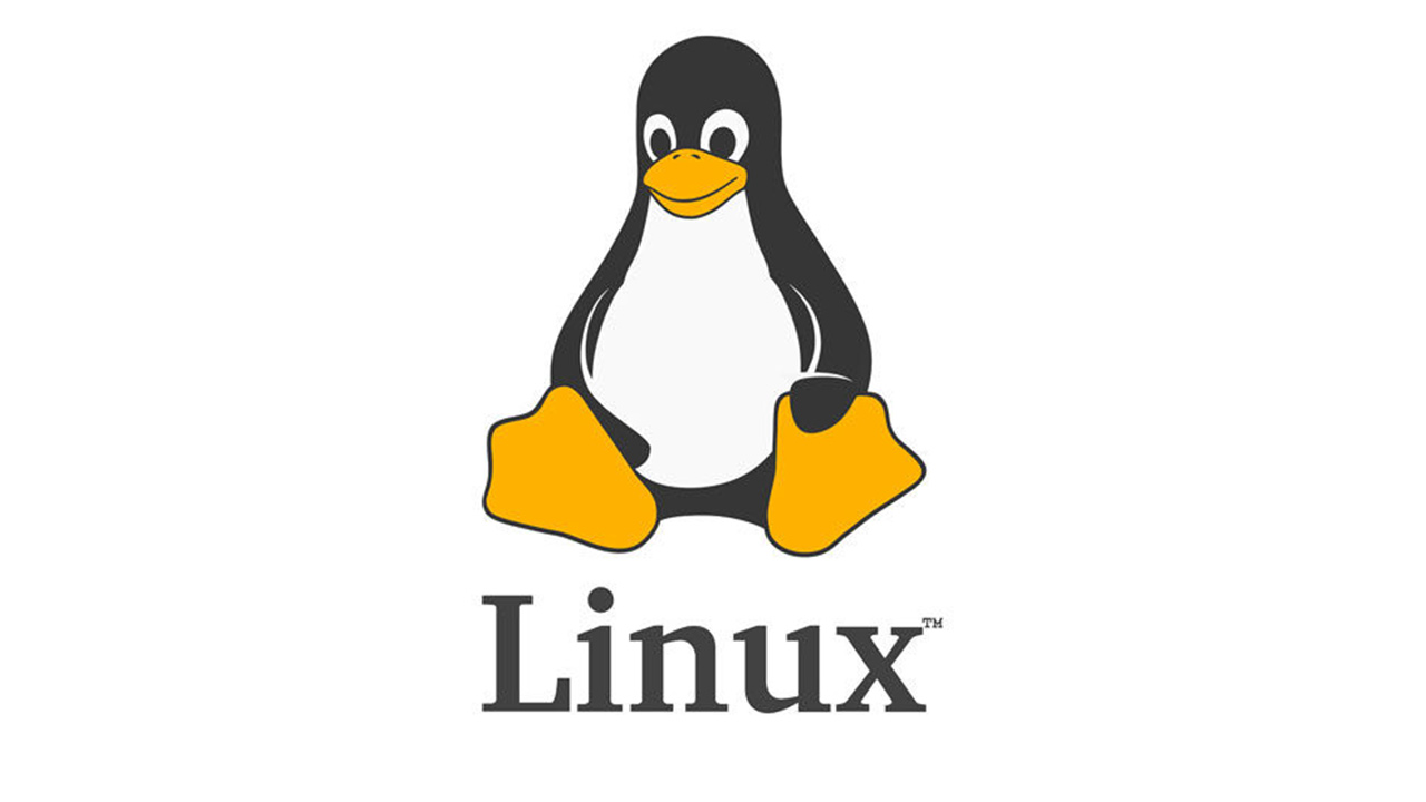 Linux Veritabanı Yönetimi