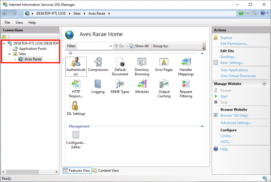 IIS Nedir? Nasıl Kurulur?