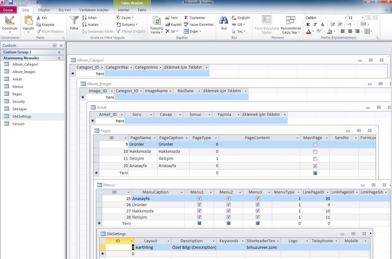 Microsoft Access Nedir?