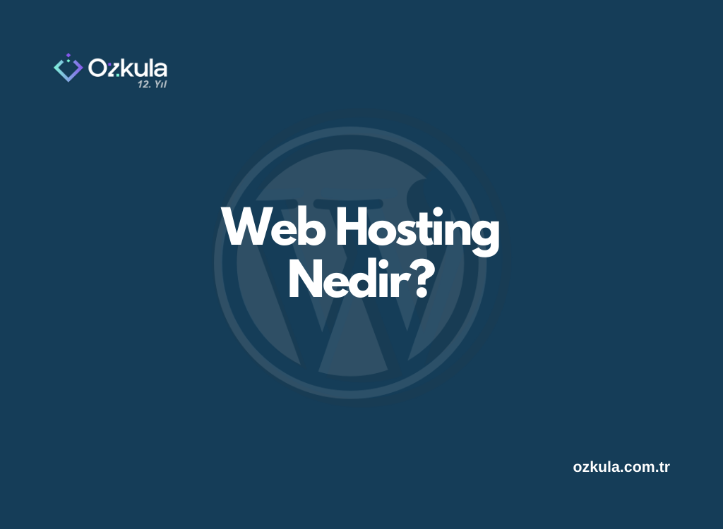 Web Hosting Nedir?