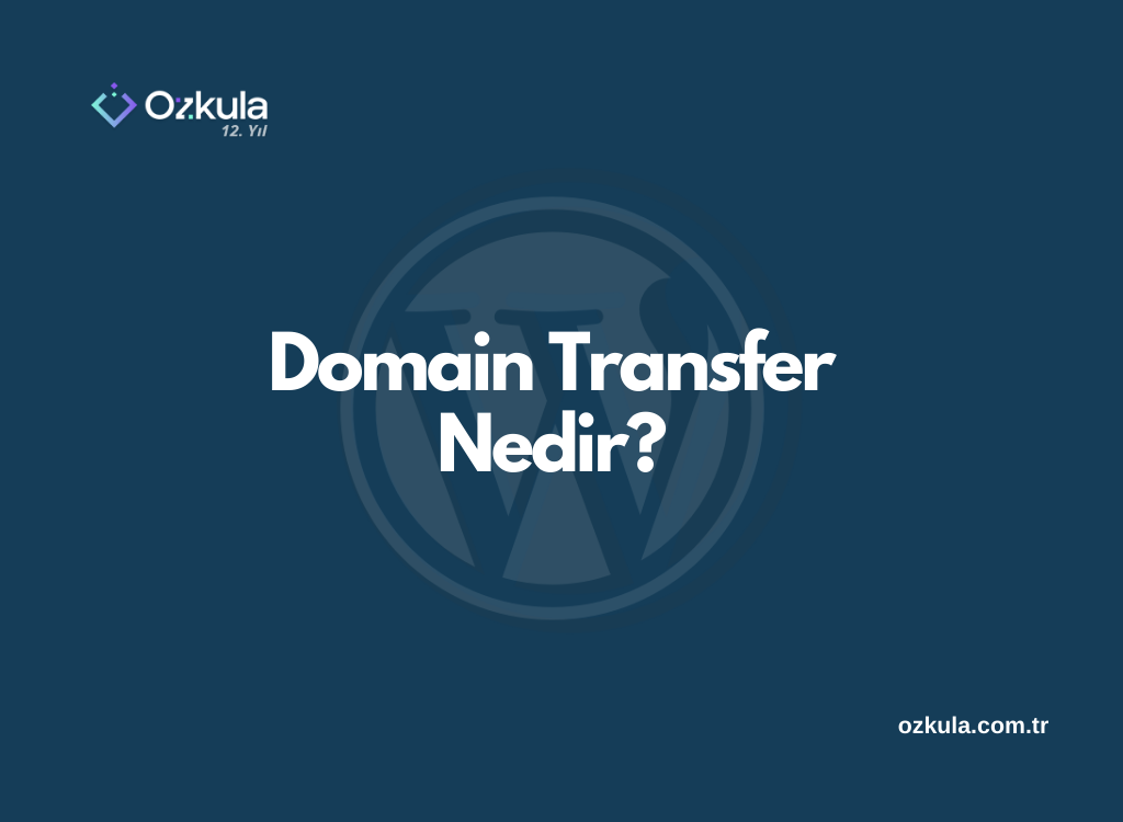 Domain Transfer Nedir?