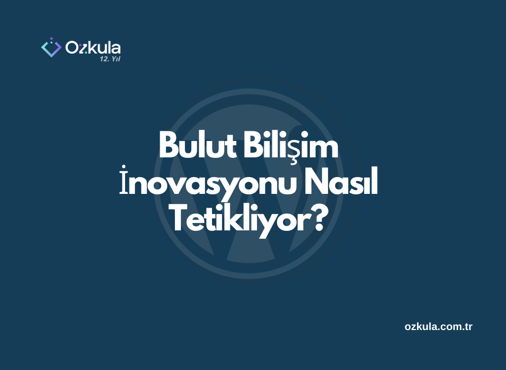 Bulut Bilişim İnovasyonu Nasıl Tetikliyor?