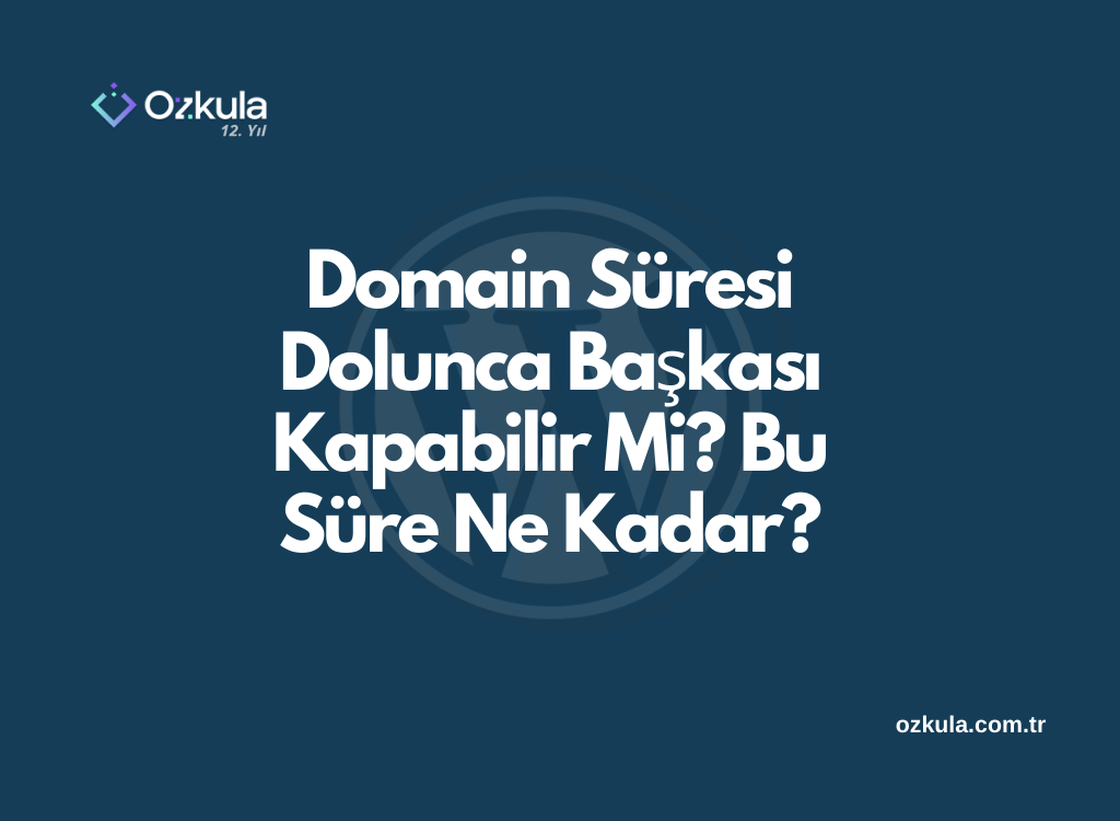 Domain Süresi Dolunca Başkası Alabilir Mi? Bu Süre Ne Kadar?