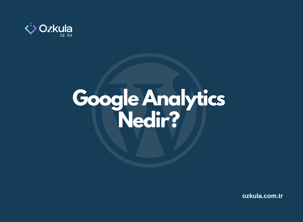 Google Analytics Nedir?