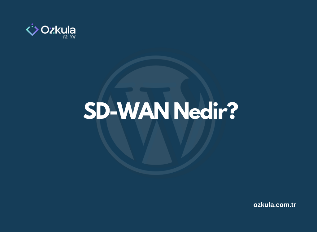 SD-WAN Nedir?