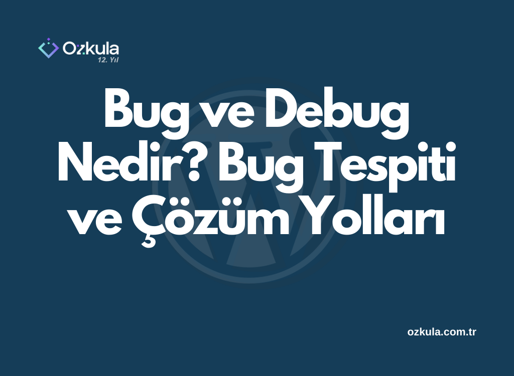 Bug ve Debug Nedir? Bug Tespiti ve Çözüm Yolları