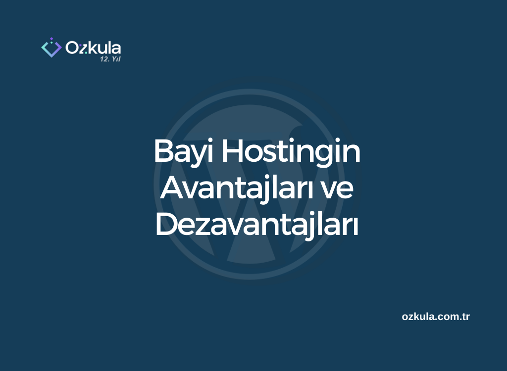 Bayi Hostingin Avantajları ve Dezavantajları