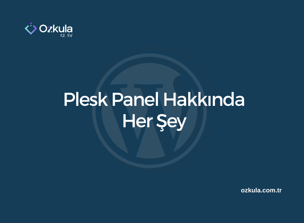 Plesk Panel Hakkında Her Şey