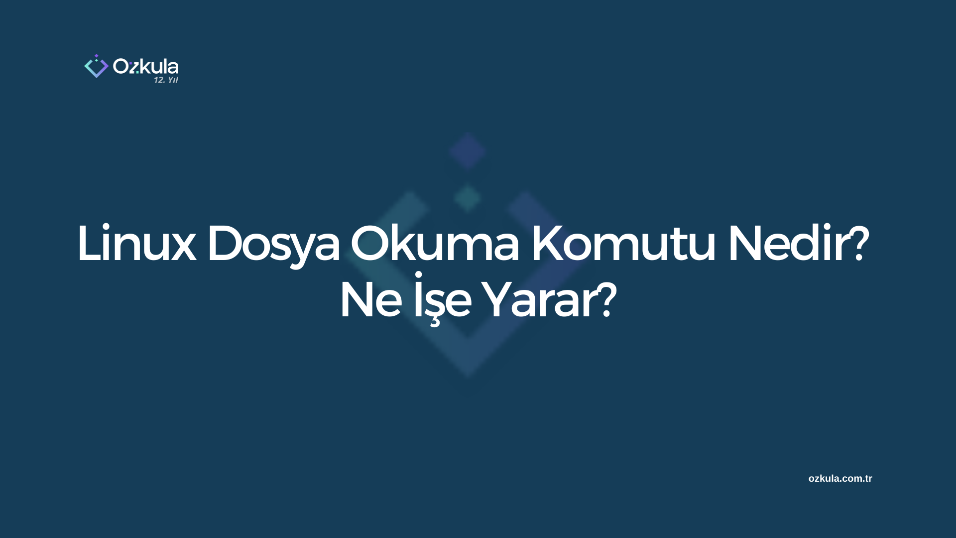 Linux Dosya Okuma Komutu Nedir? Ne İşe Yarar?