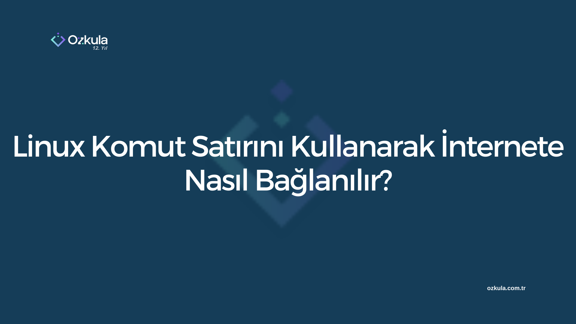 Linux Komut Satırını Kullanarak İnternete Nasıl Bağlanılır?