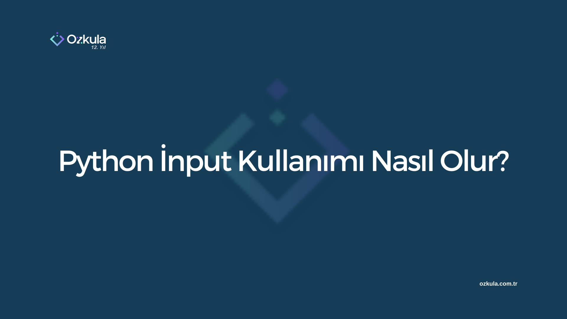 Python İnput Kullanımı Nasıl Olur?