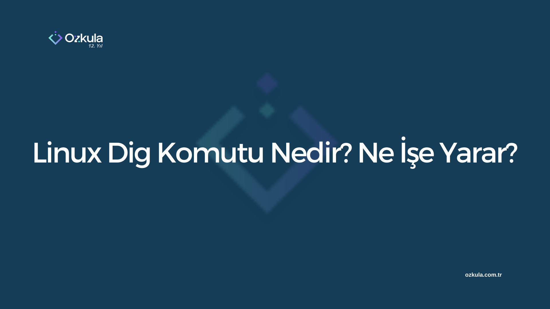 Linux Dig Komutu Nedir? Ne İşe Yarar?