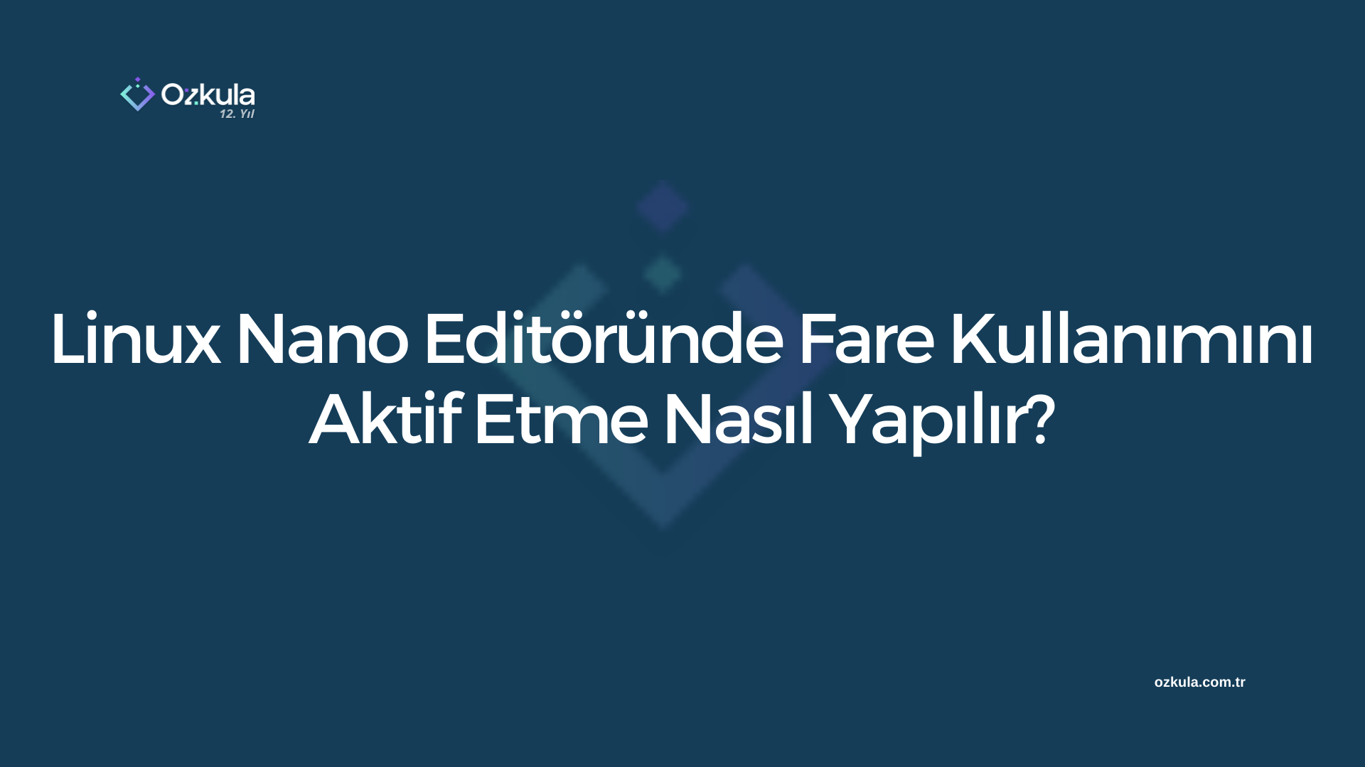 Linux Nano Editöründe Fare Kullanımını Aktif Etme Nasıl Yapılır?