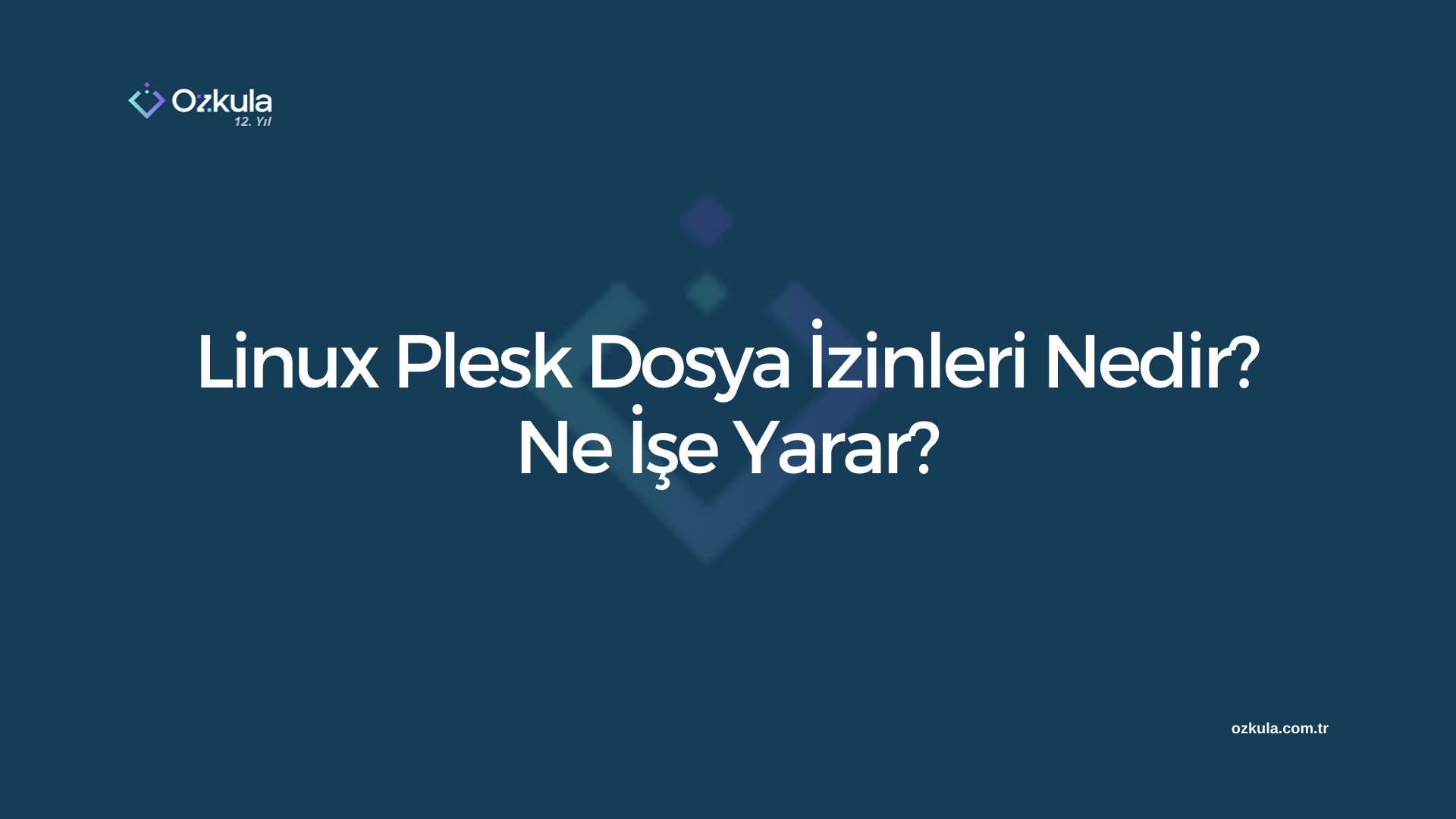 Linux Plesk Dosya İzinleri Nedir? Ne İşe Yarar?