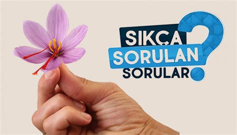 Sık Sorulan Sorular