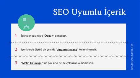 WordPress ve SEO uyumlu içerik stratejileri