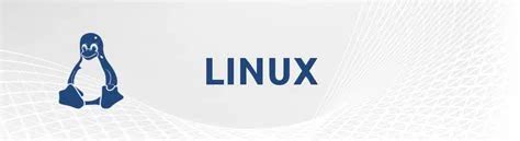 Linux Sunucuda Güvenlik İpuçları